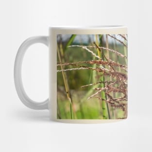 Bright spring grass field with sunlight bokeh background Mug